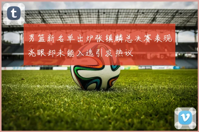 男篮新名单出炉张镇麟总决赛表现亮眼却未能入选引发热议